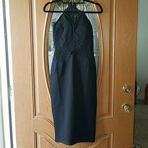 White Fox black lace fitted sexy black dress Sz S  NWT